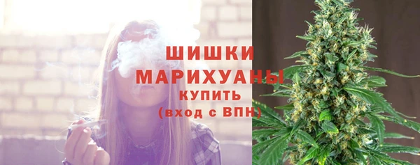 шишки Алексин
