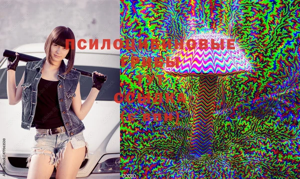 гидропоника Алзамай