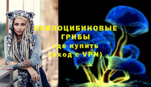 гидропоника Алзамай