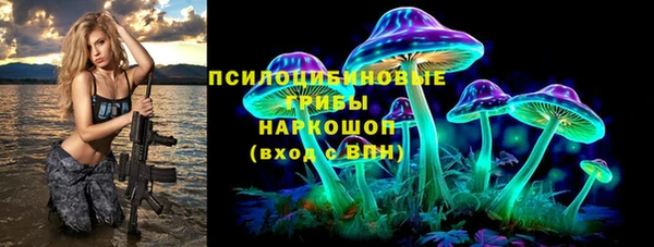 шишки Алексин