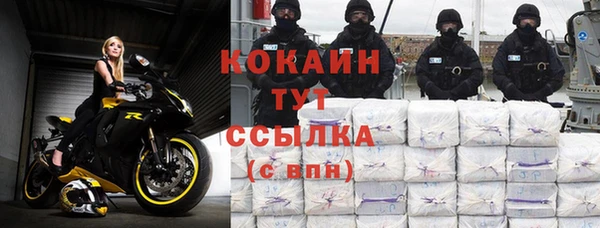 шишки Алексин
