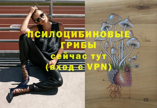 COCAINE Алексеевка